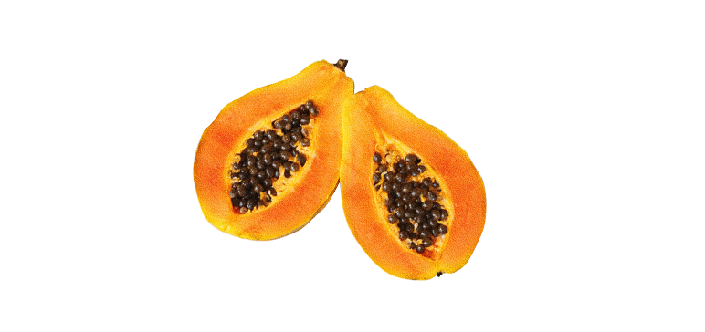 papayajkatelin